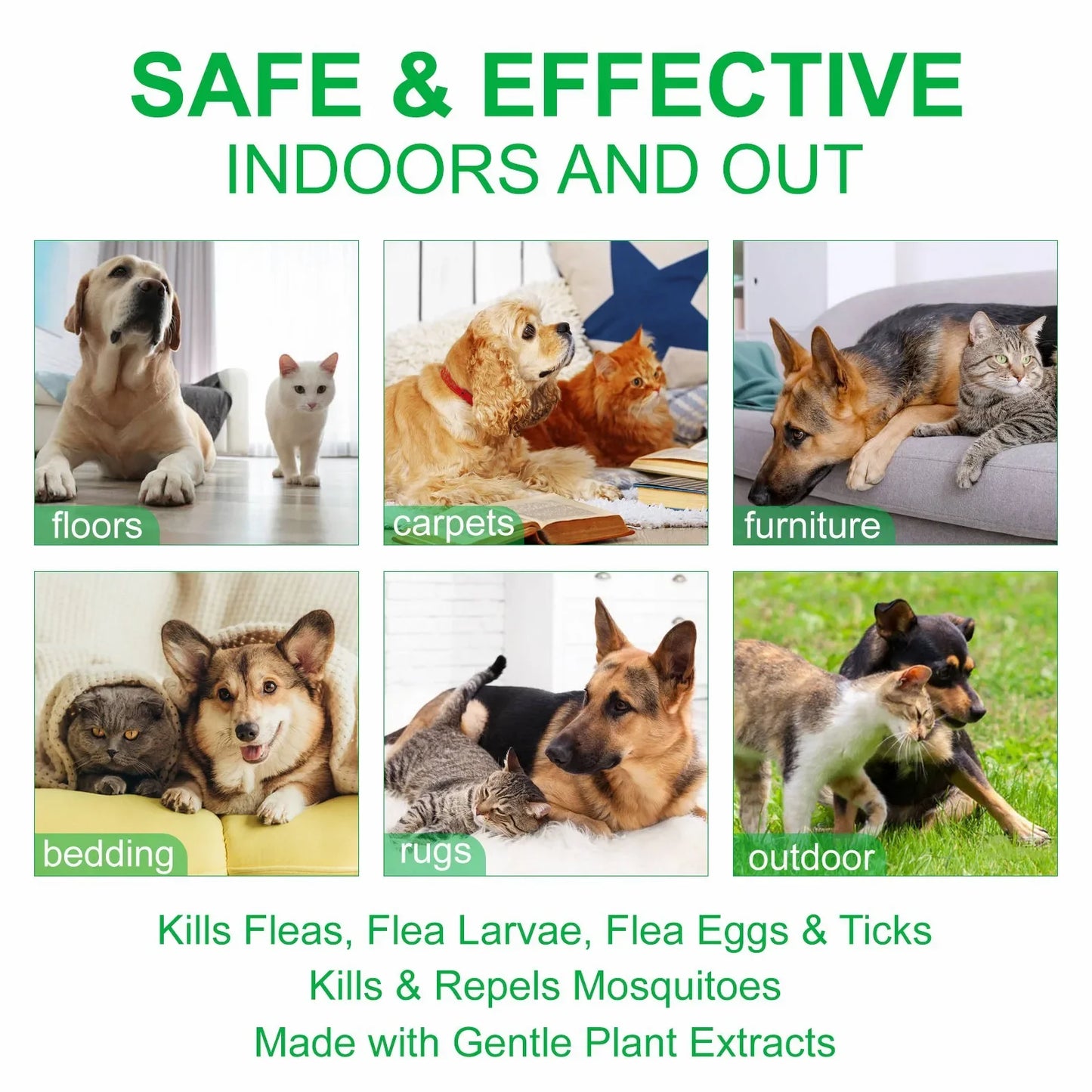 60ml Natural Pet Care Topical Flea&Tick Spray for Dogs&Cats with Fresh Fragrance Peppermint Oil and Eugenol