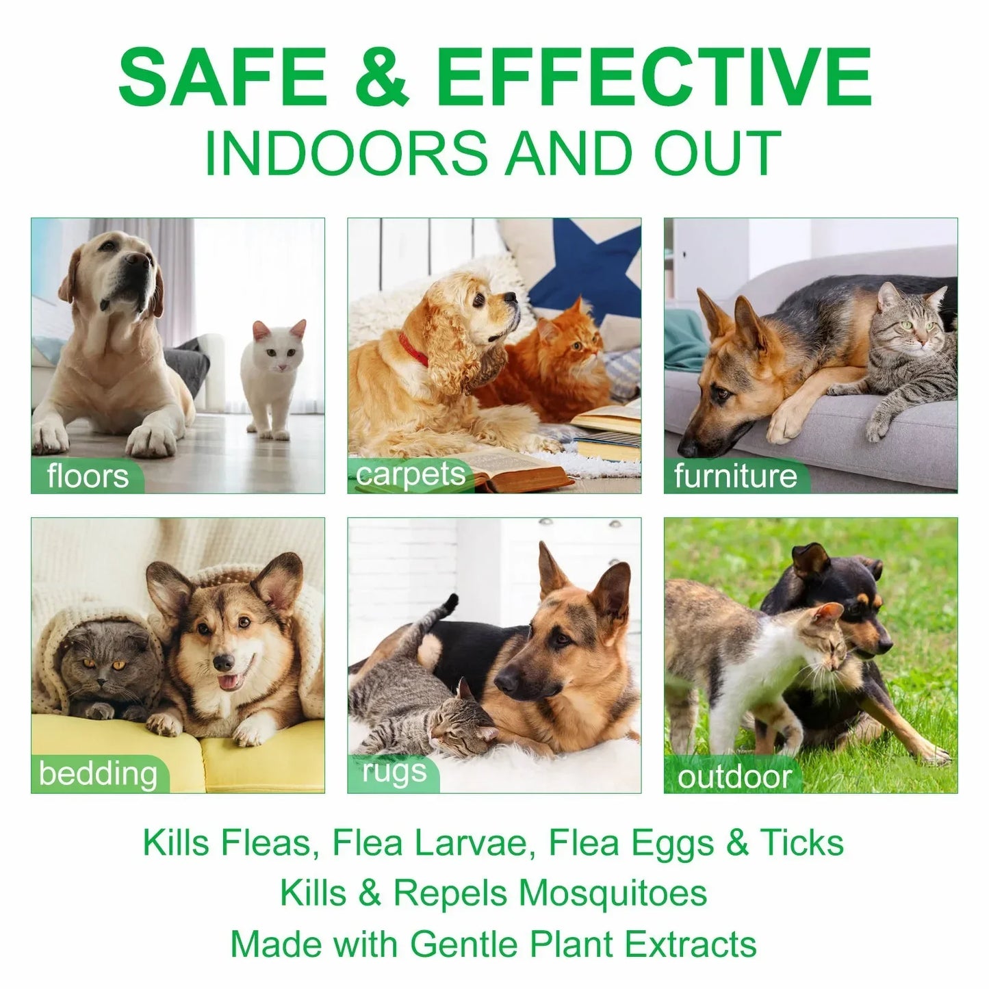 60ml Natural Pet Care Topical Flea&Tick Spray for Dogs&Cats with Fresh Fragrance Peppermint Oil and Eugenol