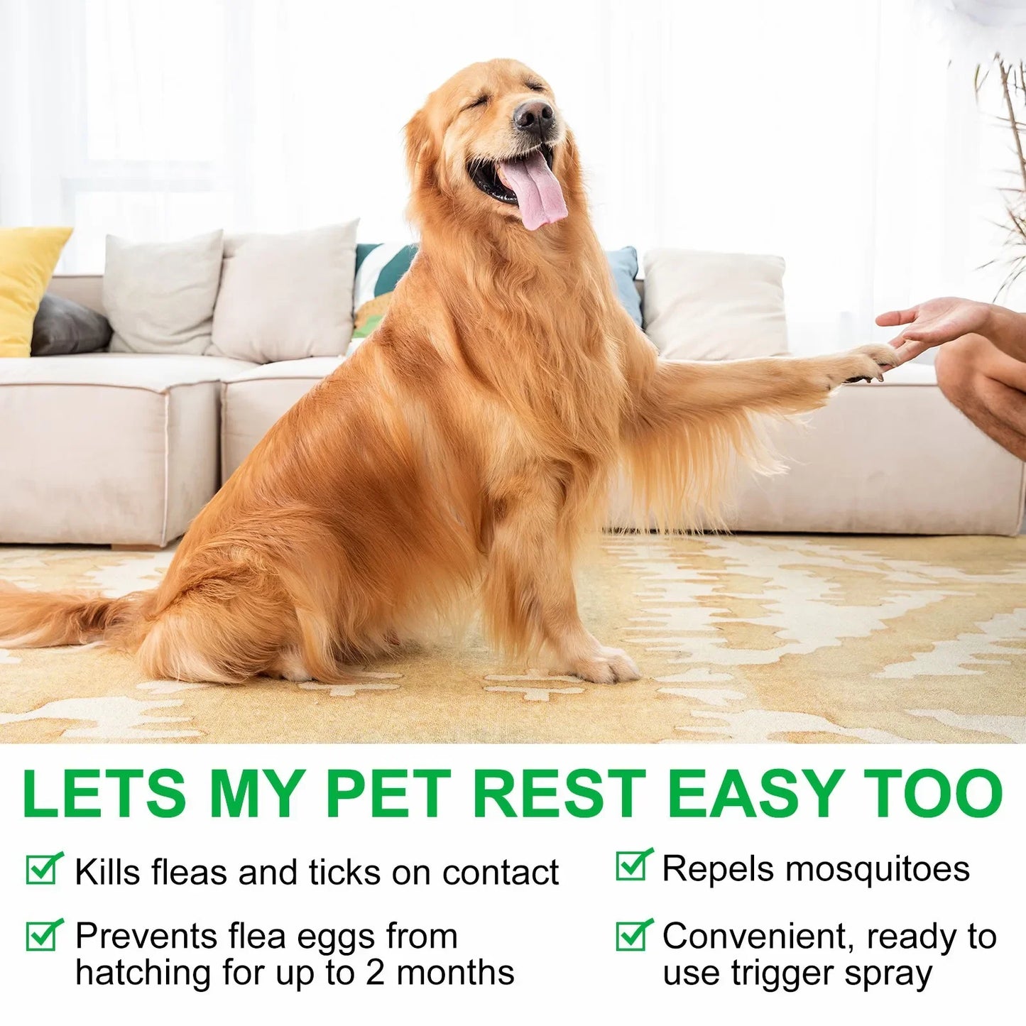 60ml Natural Pet Care Topical Flea&Tick Spray for Dogs&Cats with Fresh Fragrance Peppermint Oil and Eugenol
